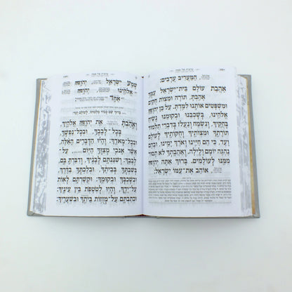 סידור מהודר לגבר דגם כותל אפור כסף "הודו להשם"